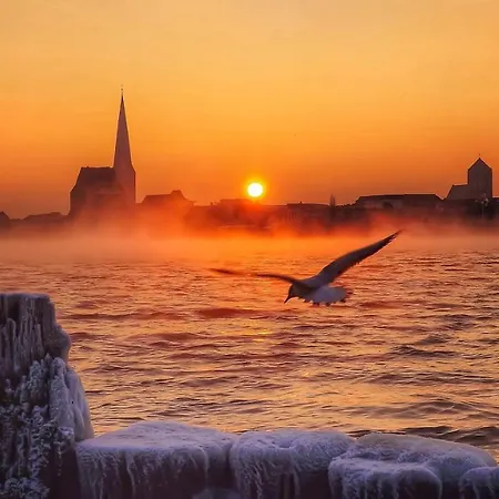 Bernstein Rostock